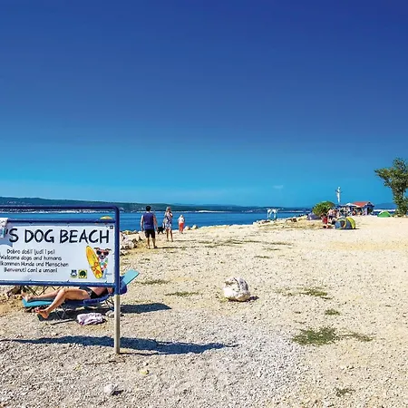 Pet Friendly In With Wifi Casa vacanze